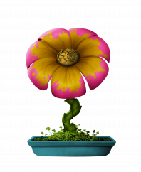 Flower #1828 (C)