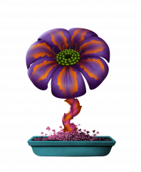 Flower #1902 (B)