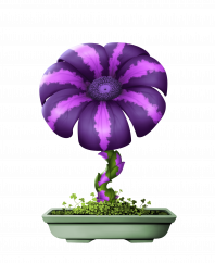 Flower #2416 (B)