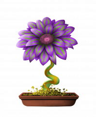 Flower #3507 (C)