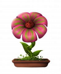 Flower #11553 (B)