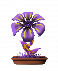 Flower #12647 (B)