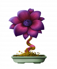 Flower #14586 (A)