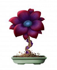 Flower #15812 (uR)