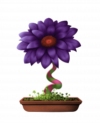 Flower #15943 (D)