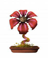 Flower #15948 (uR)