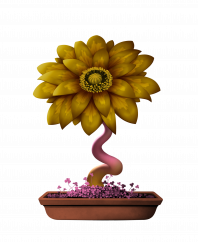 Flower #16974 (uR)