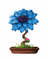Flower #17825 (B)