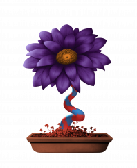 Flower #17995 (D)