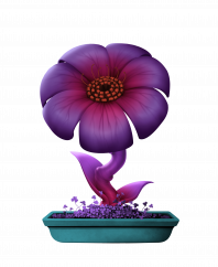 Flower #18054 (C)