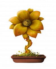 Flower #18322 (C)