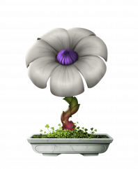 Flower #18742 (B)