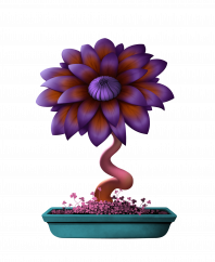 Flower #18781 (C)