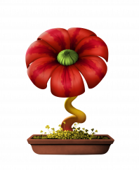 Flower #18846 (D)