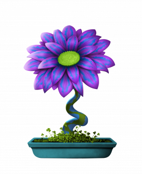 Flower #6572