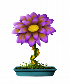 Flower #997
