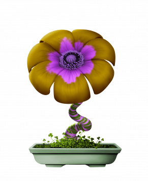 Flower #11906