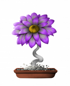 Flower #14494